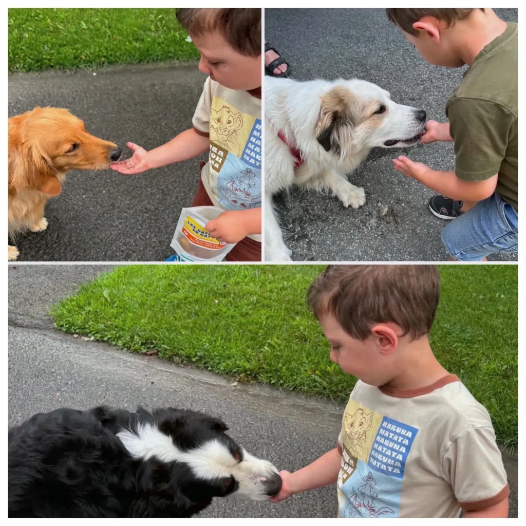 Arnaud partage des biscuits Les Gâteries de Katy avec des chiens à l Auberge du Lac Taureau