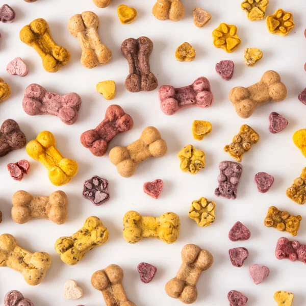 Assortiment de biscuits Les Gateries de Katy, formes os coeurs et pattes multicolores naturels