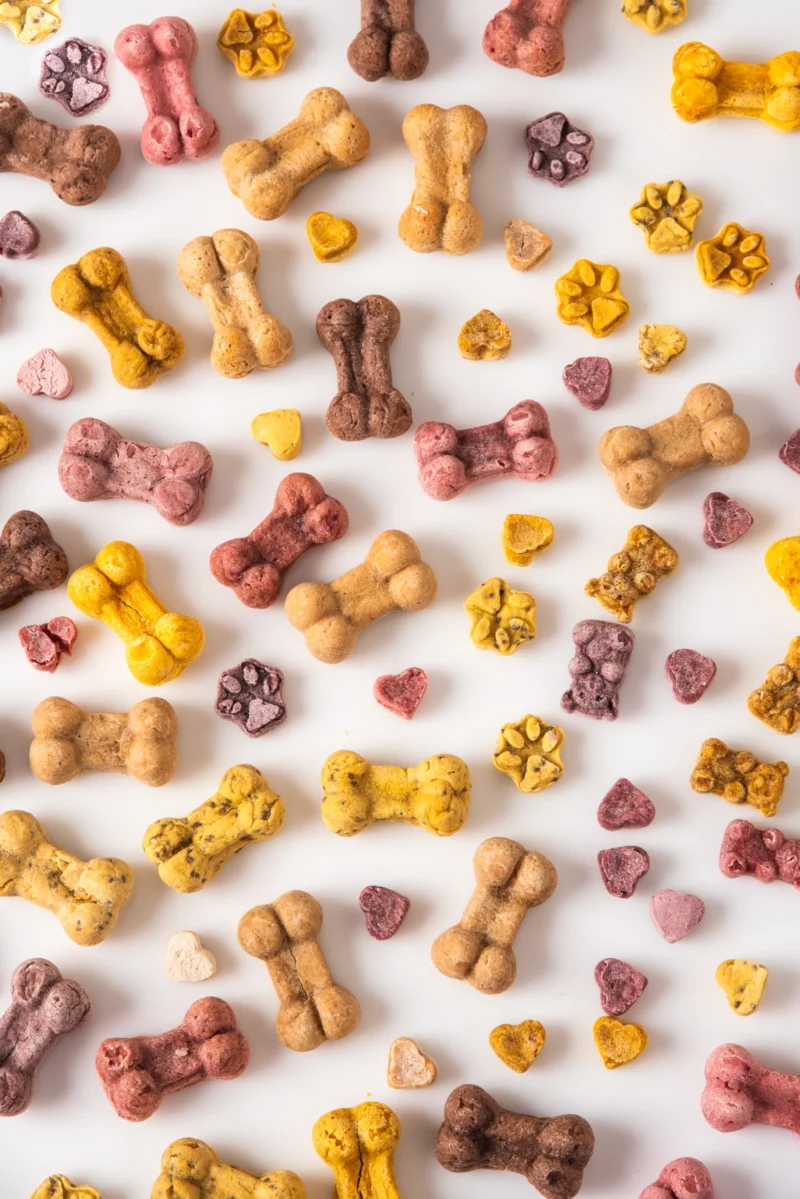 Assortiment de biscuits Les Gateries de Katy, formes os coeurs et pattes multicolores naturels