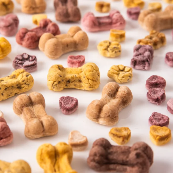 Gros plan sur les biscuits artisanaux pour chiens Les Gateries de Katy, colores aux legumes et fruits