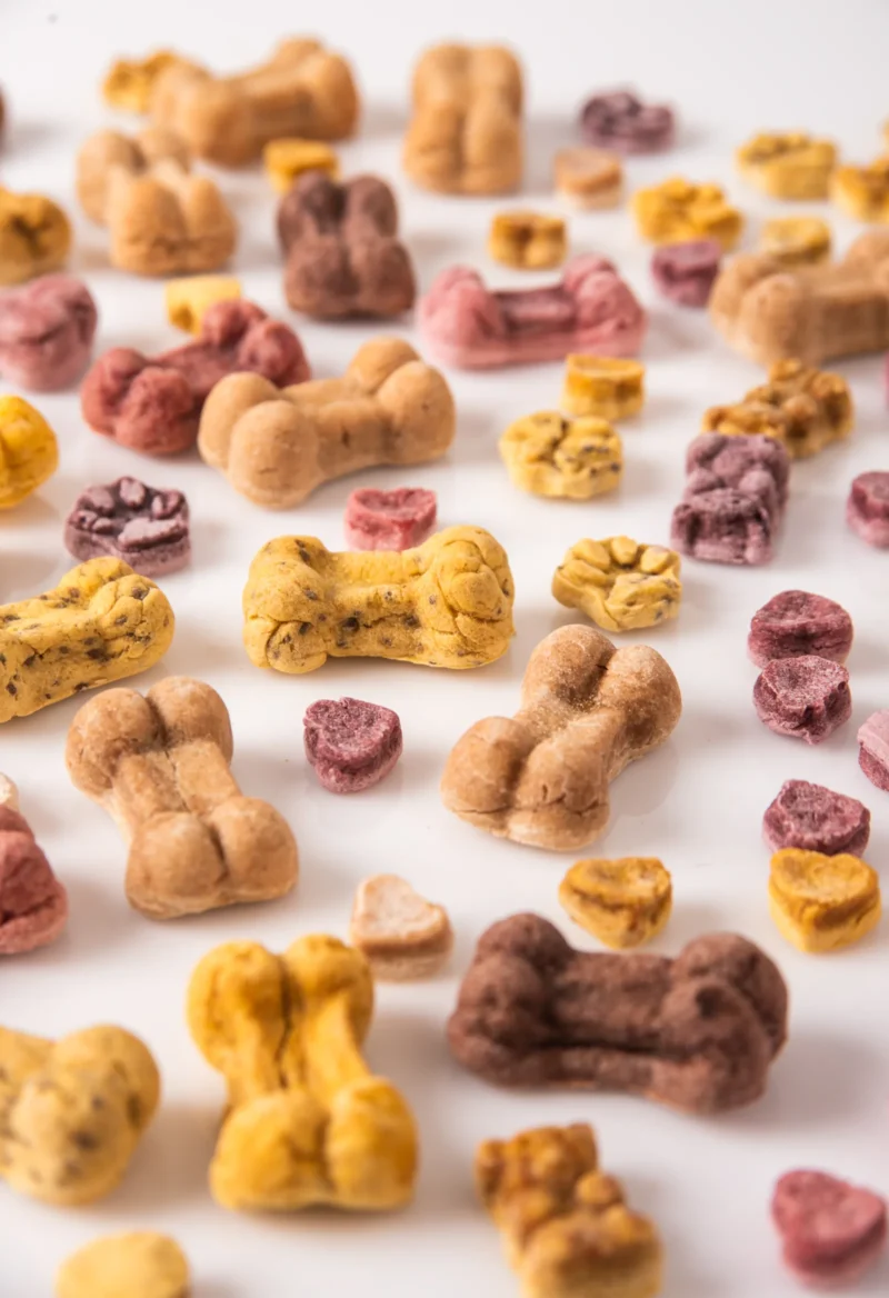 Gros plan sur les biscuits artisanaux pour chiens Les Gateries de Katy, colores aux legumes et fruits