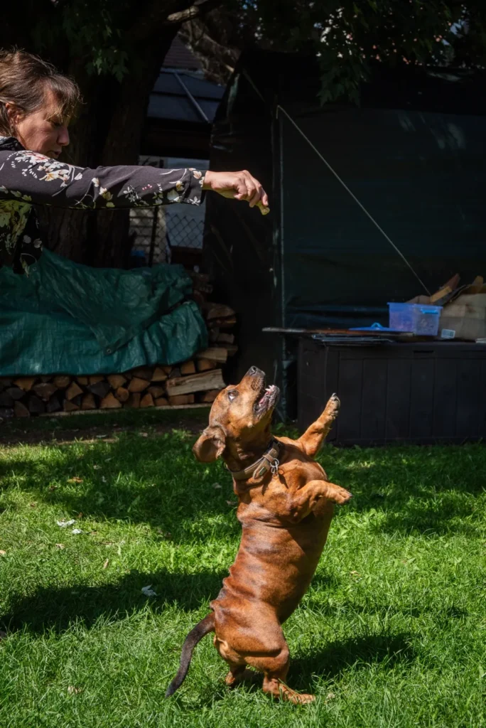 Katy et ses chiens Melvin et Sharlee