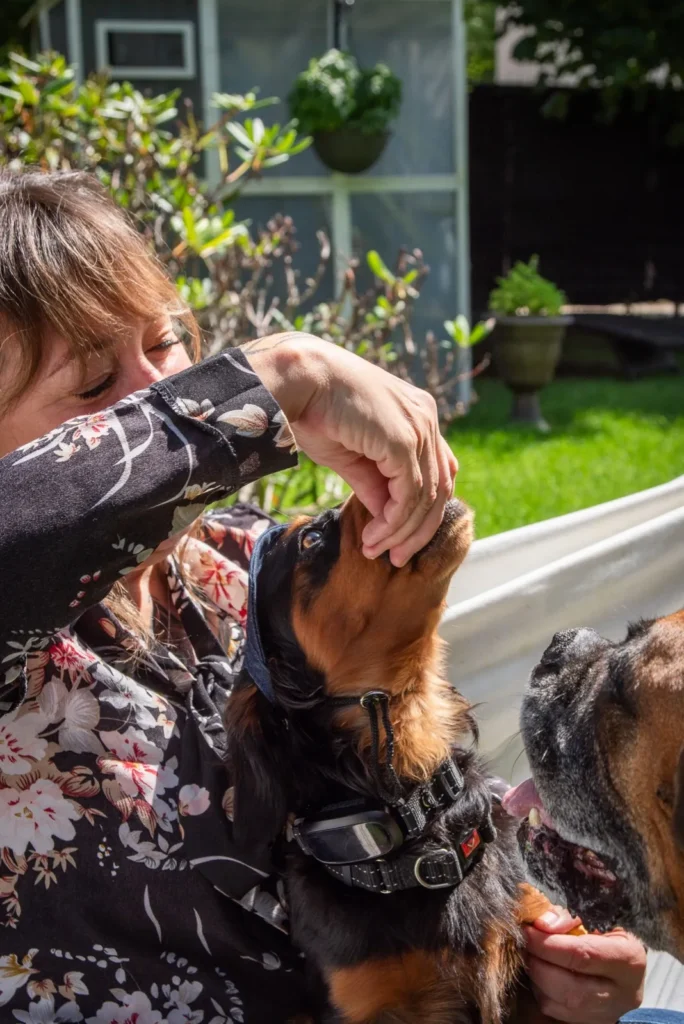 Katy et ses chiens Melvin et Sharlee
