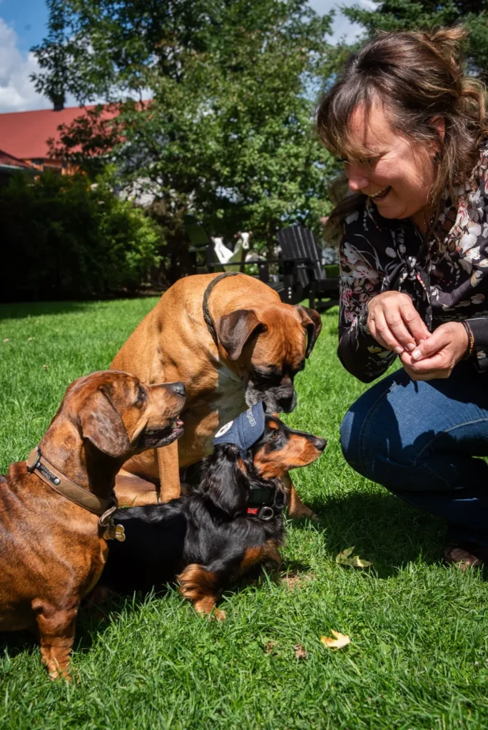 Un chien savoure une gâterie des Gâteries de Katy